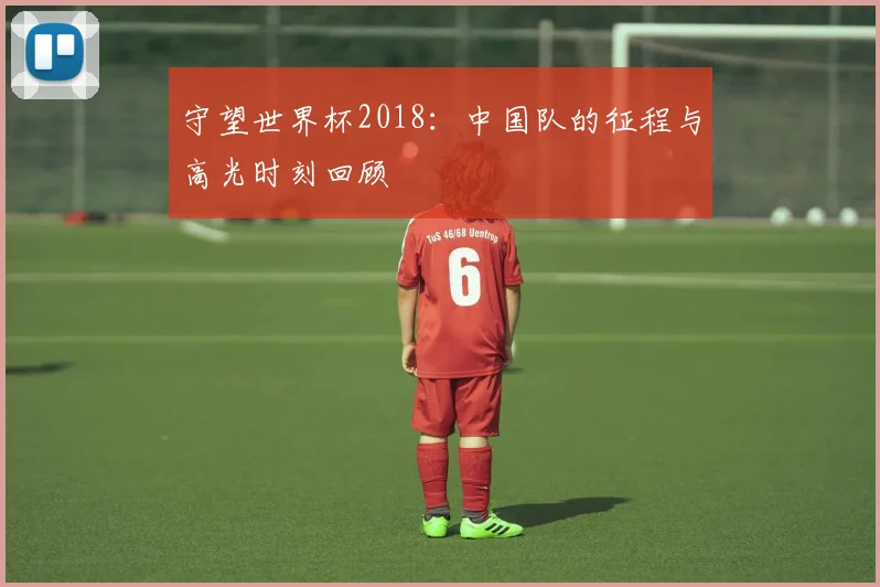 守望世界杯2018：中国队的征程与高光时刻回顾