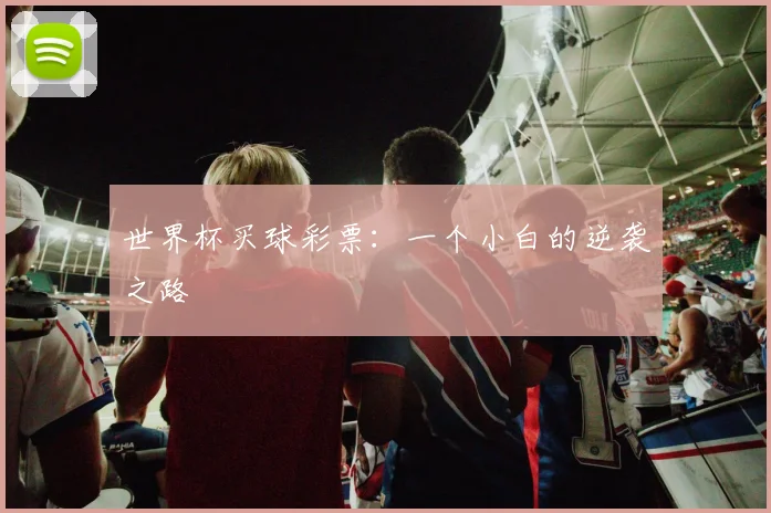 世界杯买球彩票：一个小白的逆袭之路