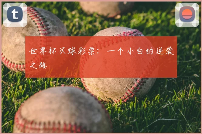 世界杯买球彩票：一个小白的逆袭之路