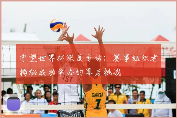 守望世界杯深度专访：赛事组织者揭秘成功举办的幕后挑战