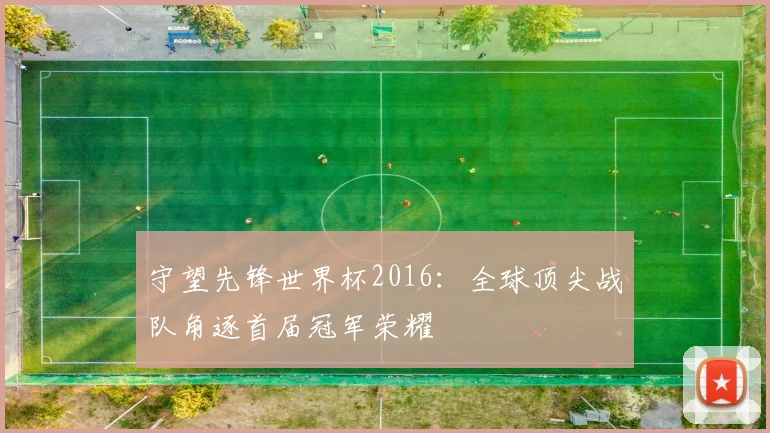 守望先锋世界杯2016：全球顶尖战队角逐首届冠军荣耀