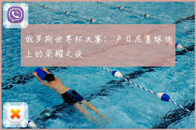 俄罗斯世界杯决赛：卢日尼基球场上的荣耀之夜