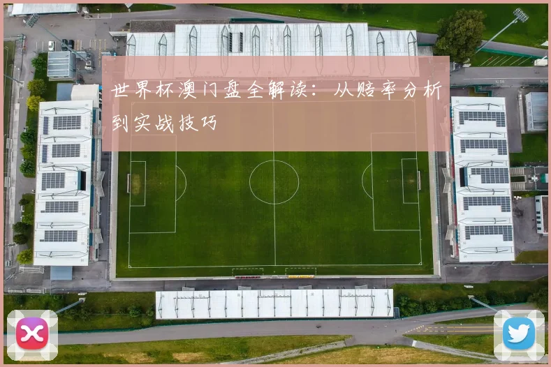 世界杯澳门盘全解读：从赔率分析到实战技巧