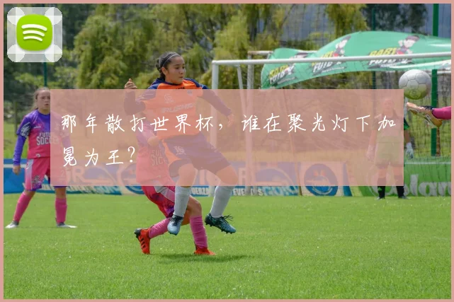 那年散打世界杯，谁在聚光灯下加冕为王？