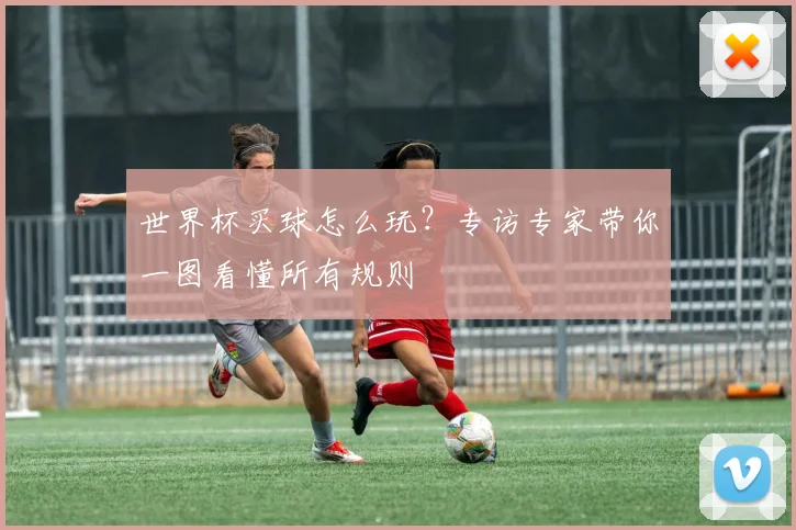 世界杯买球怎么玩?专访专家带你一图看懂所有规则