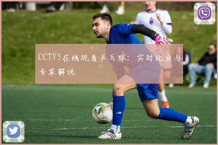 CCTV5在线观看乒乓球：实时比分与专家解说