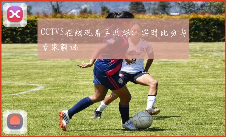 CCTV5在线观看乒乓球：实时比分与专家解说